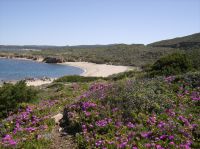 Spiaggia di Cala Pischina, a pochi km da Rena Majore 