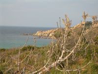 Tra il verde e il mare di Rena Majore 